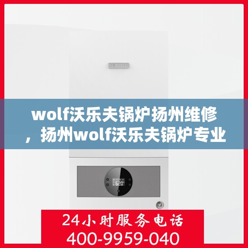 wolf沃乐夫锅炉扬州维修，扬州wolf沃乐夫锅炉专业维修服务