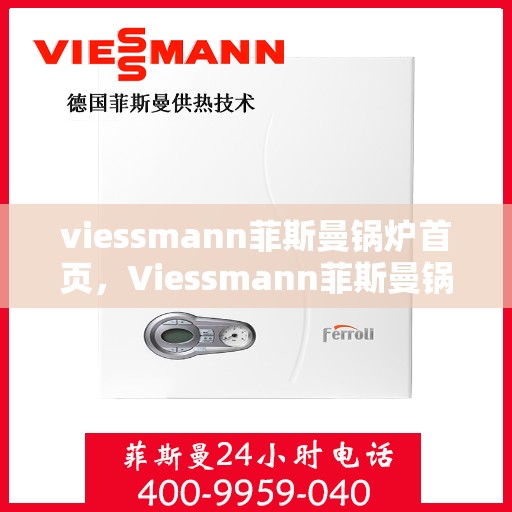 viessmann菲斯曼锅炉首页，Viessmann菲斯曼锅炉，高效暖心的热能解决方案首页