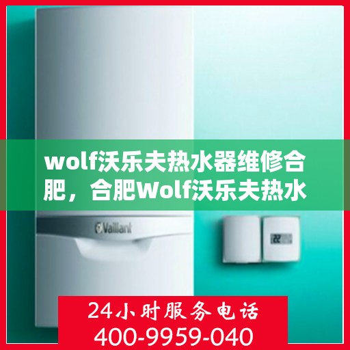wolf沃乐夫热水器维修合肥，合肥Wolf沃乐夫热水器专业维修指南