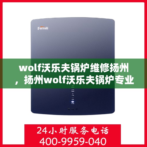 wolf沃乐夫锅炉维修扬州，扬州wolf沃乐夫锅炉专业维修服务