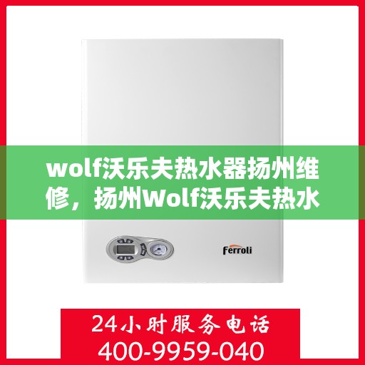 wolf沃乐夫热水器扬州维修，扬州Wolf沃乐夫热水器专业维修服务