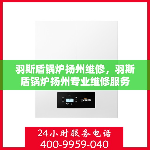 羽斯盾锅炉扬州维修，羽斯盾锅炉扬州专业维修服务