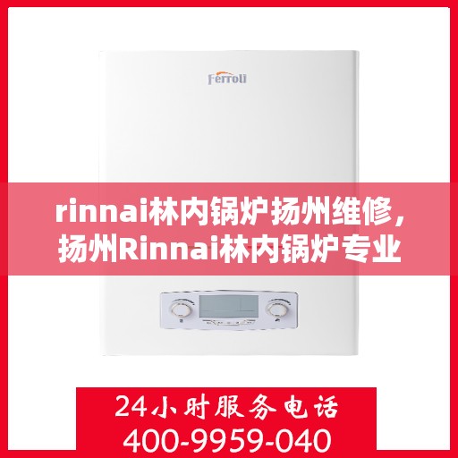 rinnai林内锅炉扬州维修，扬州Rinnai林内锅炉专业维修服务