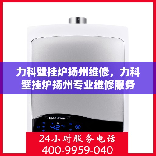 力科壁挂炉扬州维修，力科壁挂炉扬州专业维修服务