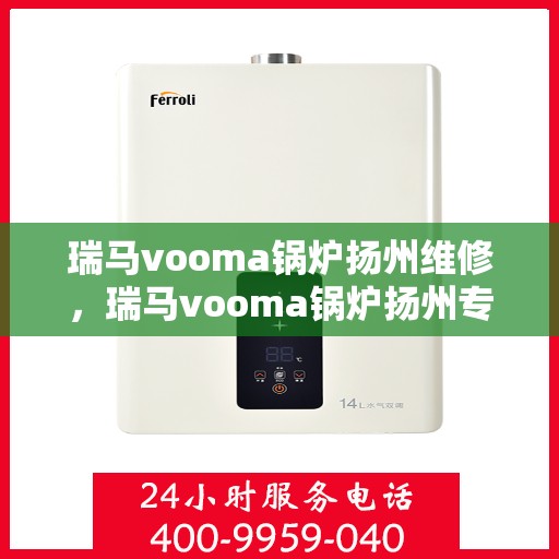 瑞马vooma锅炉扬州维修，瑞马vooma锅炉扬州专业维修服务